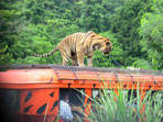 Zambales Tour Packages