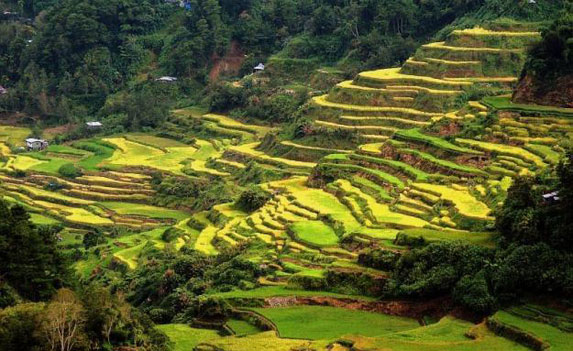 Banaue and Sagada Tour Packages